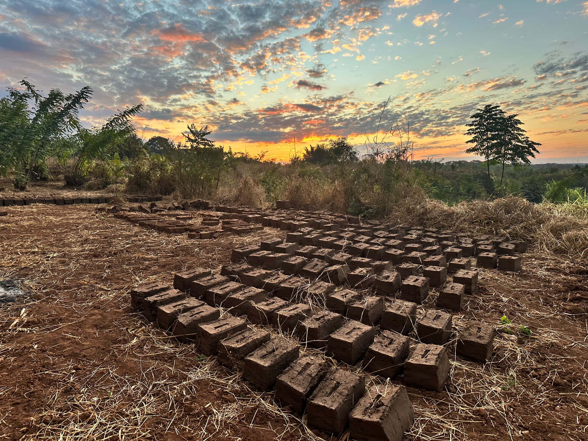 Handmade mud bricks drying in rows on the land at sunset